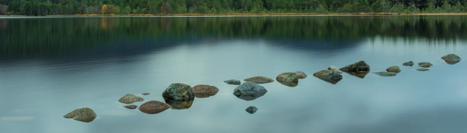 Trauma Coaching Plus